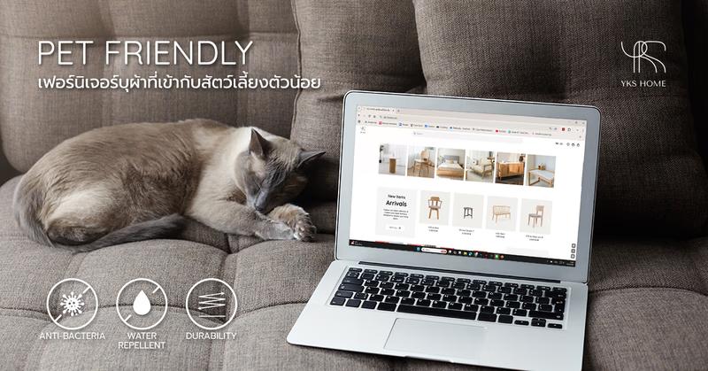 PET FRIENDLY เฟอร์นิเจอร์ที่ตอบโจทย์คนรักสัตว์